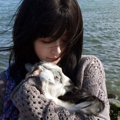 报告许小姐，顾总他超爱